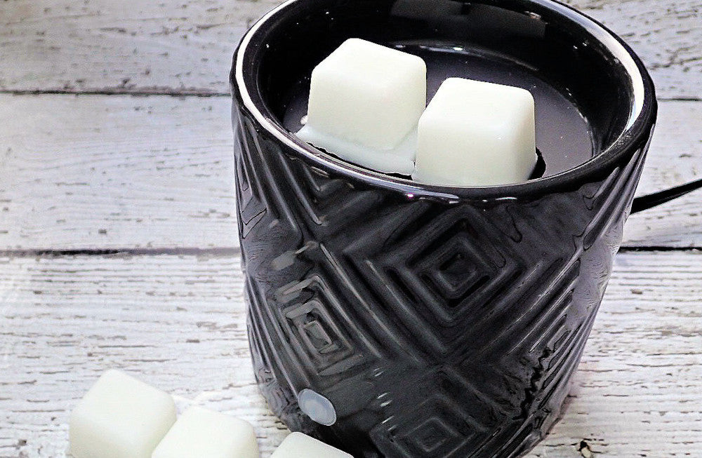 Explore Our Wax Melter Collection