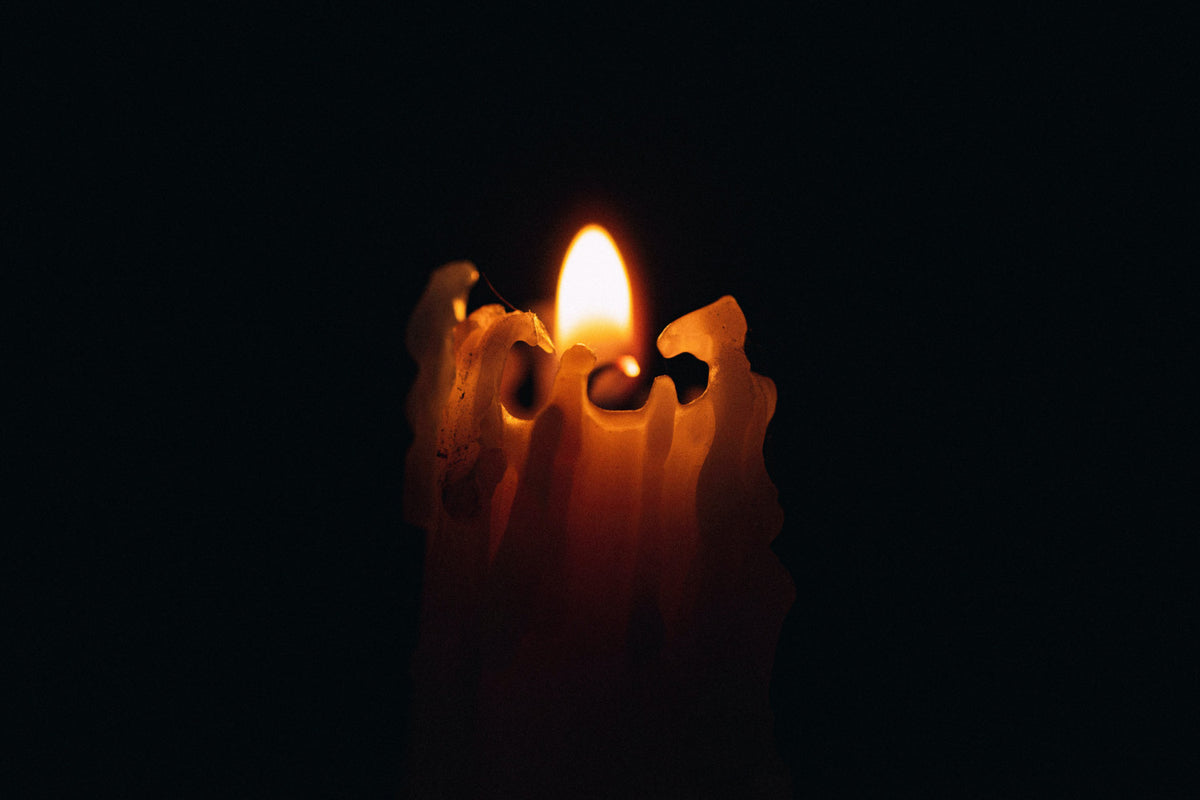 Is Soy Wax Vegan?