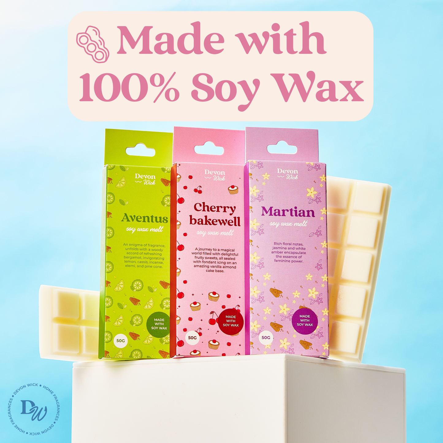 Forgotten Cherry Snap Bar Wax Melts