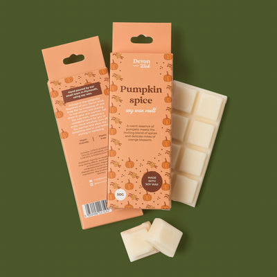 Pumpkin Spice Snap Bar Wax Melts