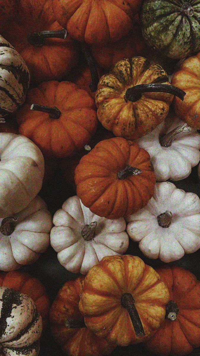 New Autumn Collection